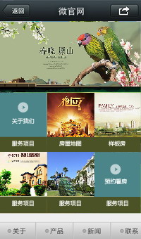 微网站